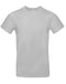 Pacific Grey