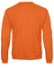Pumpkin Orange